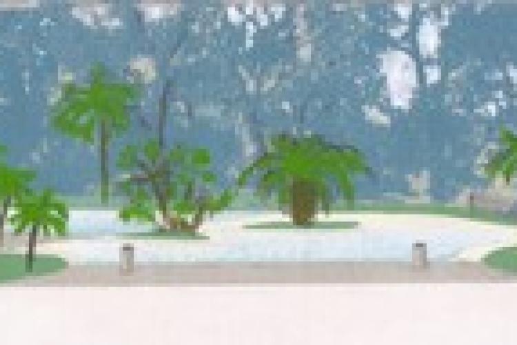 projet de création de piscine à Bormes-Les-Mimosas (83)