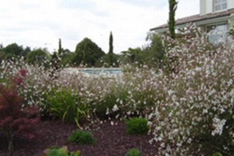 Création d'un jardin - Chalamont
