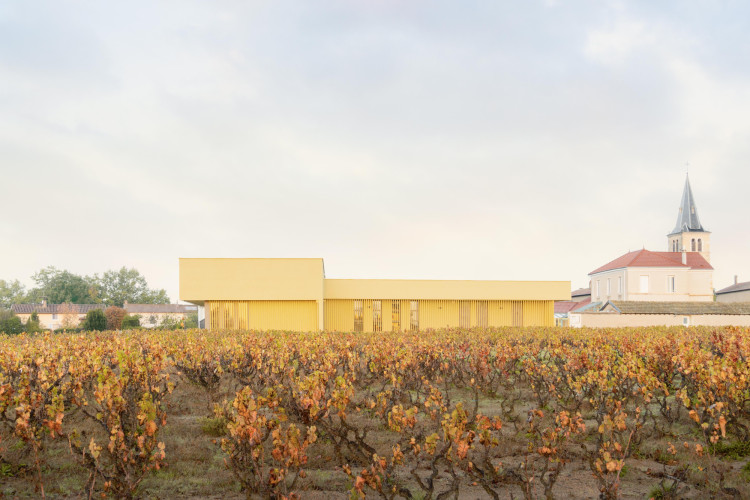 Restaurant scolaire au cœur des vignes