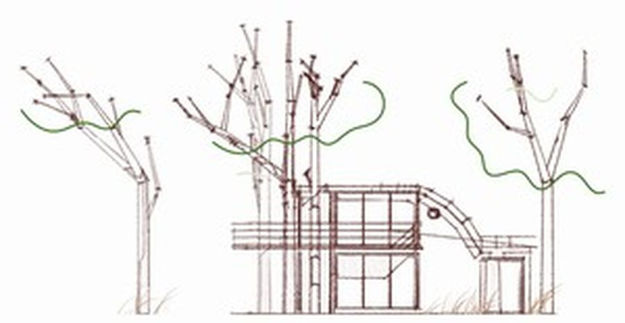 EXTENSION PIN MARSEILLE / études