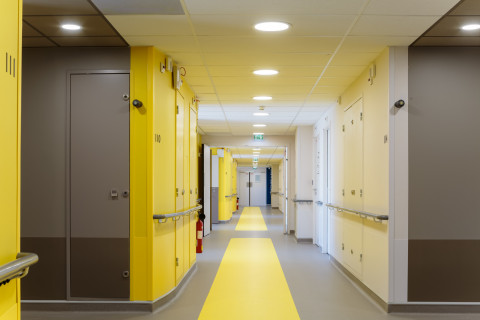 Hôpital Louis Pradel, Bron (69)