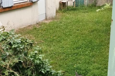 État Existant – La Dépendance Avant Travaux
