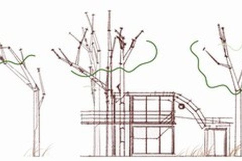 EXTENSION PIN MARSEILLE / études