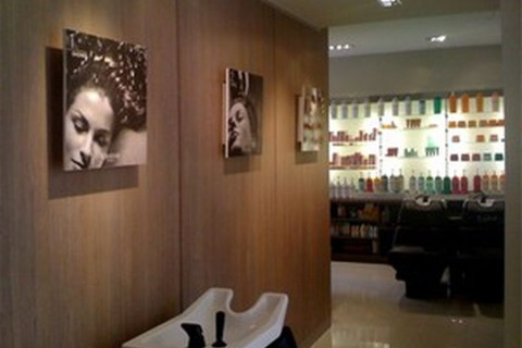 Salon Franck Provost