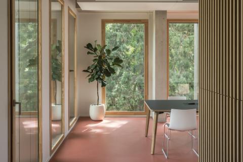 un bureau avec vue sur les arbres