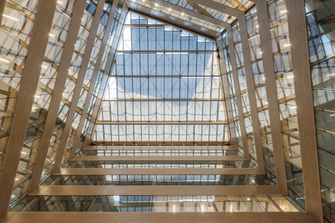 Tridimensionnalité - lever les yeux vers le ciel