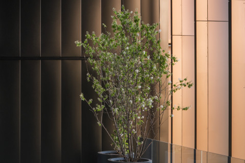 Confort dans les espaces extérieurs