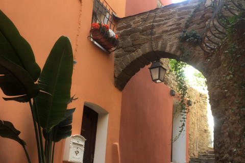 ruelle des Sarrazins