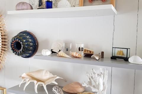 Création d'un mur inspiré par les coquillages bretons