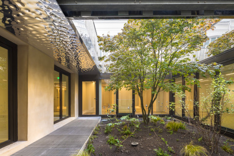 Patio végétalisé