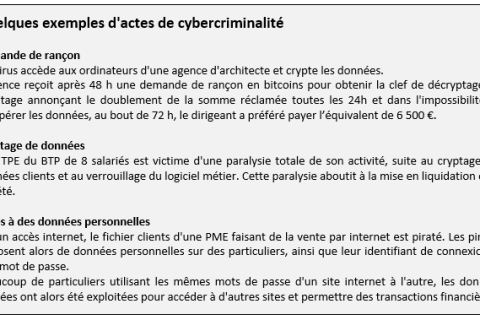 Cybercriminalité : comment se prémunir de ce nouveau risque ?