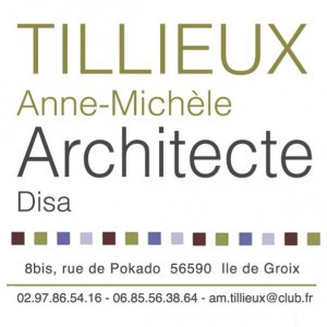  ANNE-MICHèLE TILLIEUX ARCHITECTE