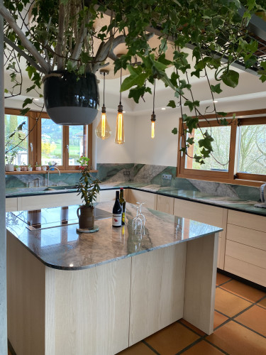 ilot cuisine suspension plante