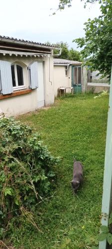 État Existant – La Dépendance Avant Travaux
