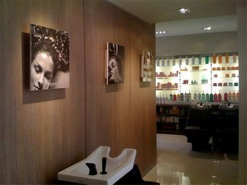 Salon Franck Provost