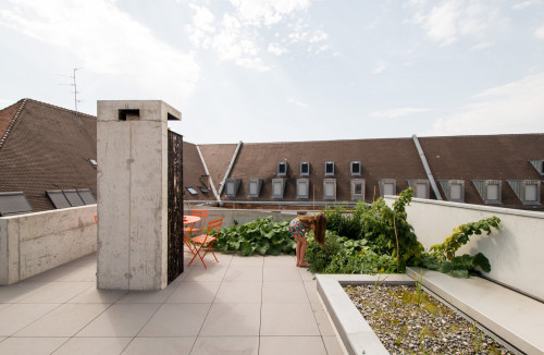 Logements et bureaux à Strasbourg 