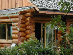 maison en rondins de bois, 2002