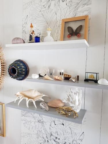 Création d'un mur inspiré par les coquillages bretons