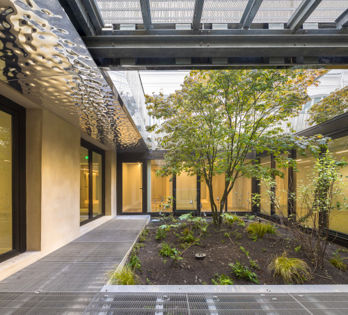 Patio végétalisé