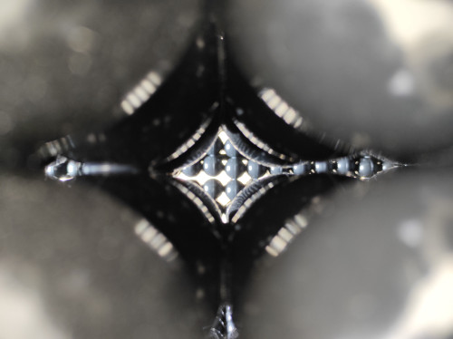 Festival des Architectures Vives 2021